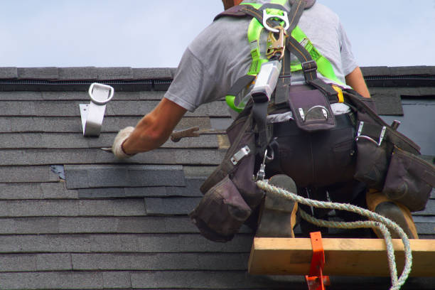 Best Storm Damage Roof Repair  in Paradise, NV